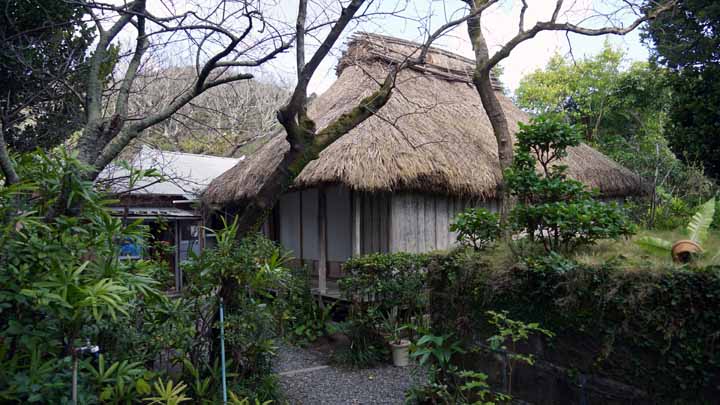 This picture is for quick loading of picture.