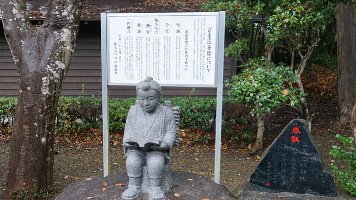 This picture is for quick loading of picture.