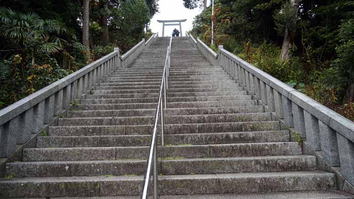 This picture is for quick loading of picture.