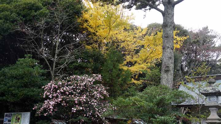 This picture is for quick loading of picture.