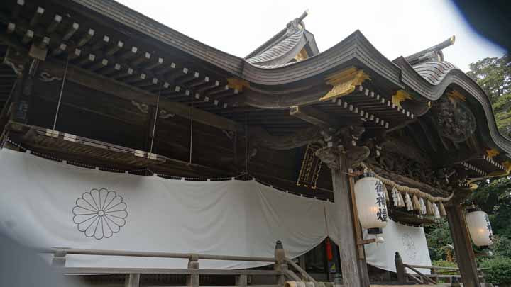 This picture is for quick loading of picture.