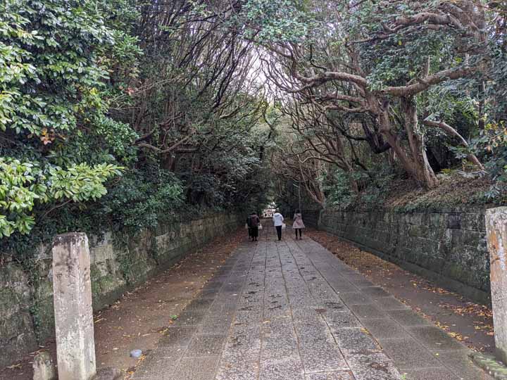 This picture is for quick loading of picture.