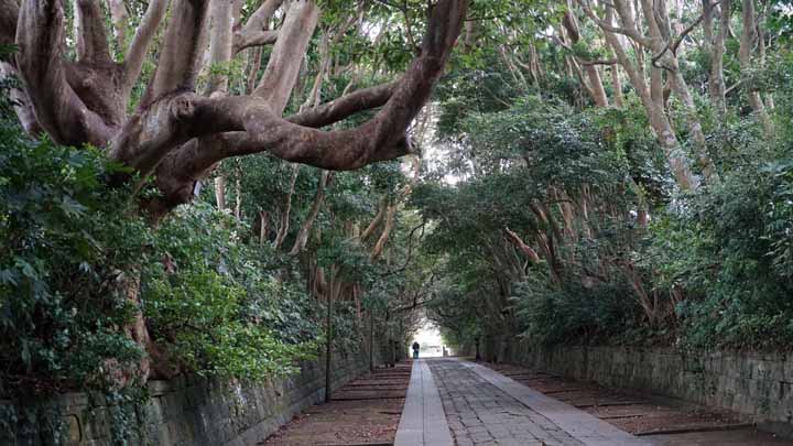 This picture is for quick loading of picture.