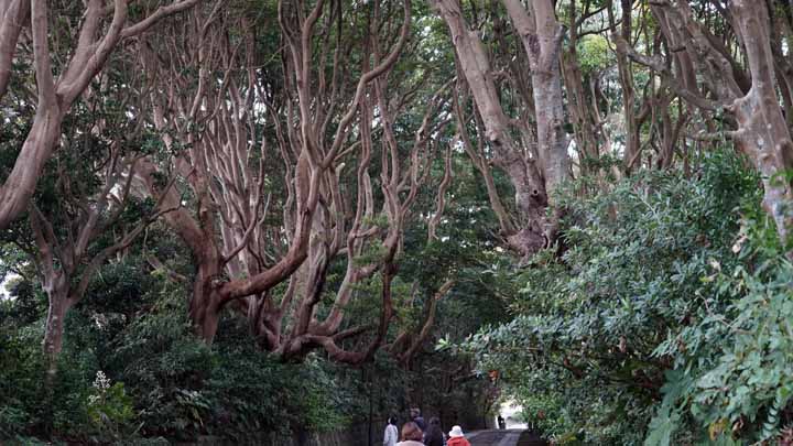 This picture is for quick loading of picture.