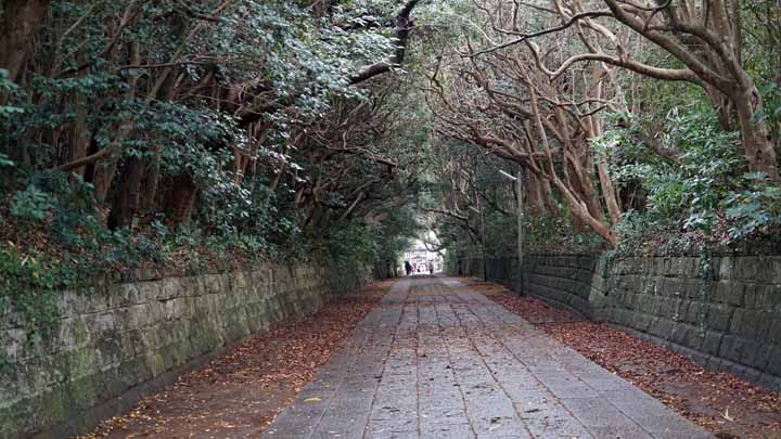 This picture is for quick loading of picture.