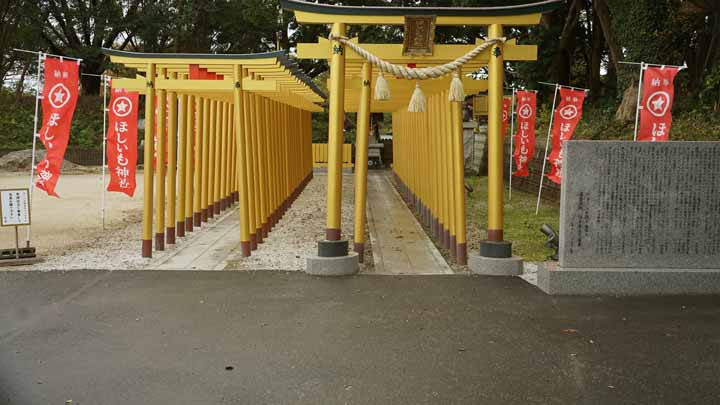 This picture is for quick loading of picture.