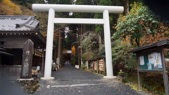 This picture is for quick loading of picture.