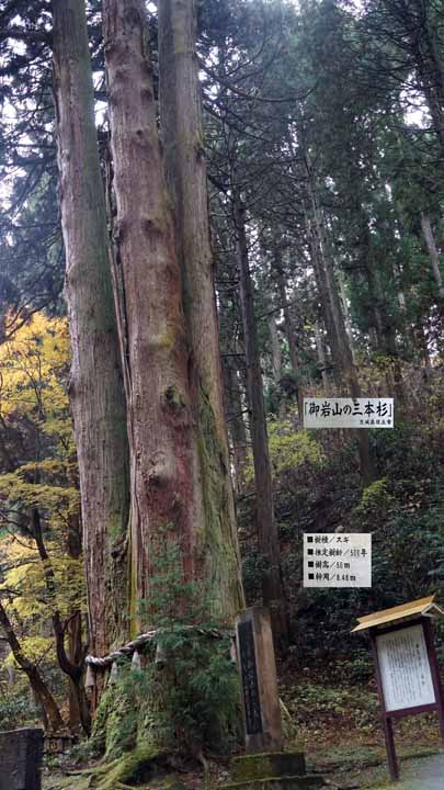 This picture is for quick loading of picture.