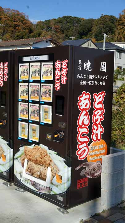 This picture is for quick loading of picture.