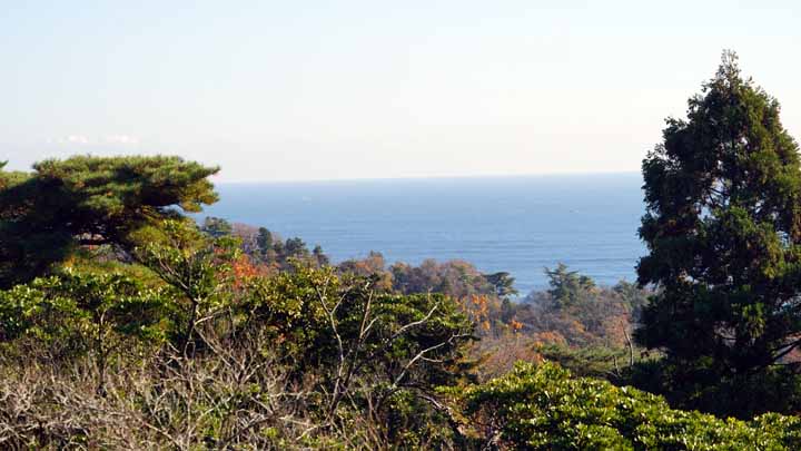 This picture is for quick loading of picture.