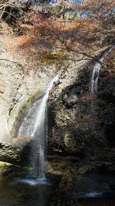 This picture is for quick loading of picture.