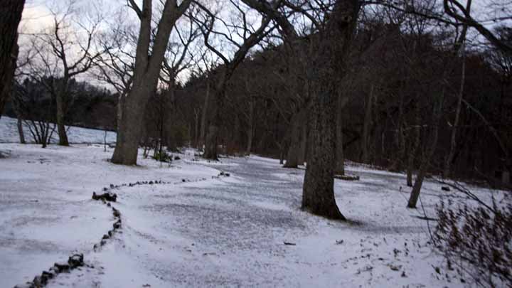 This picture is for quick loading of picture.