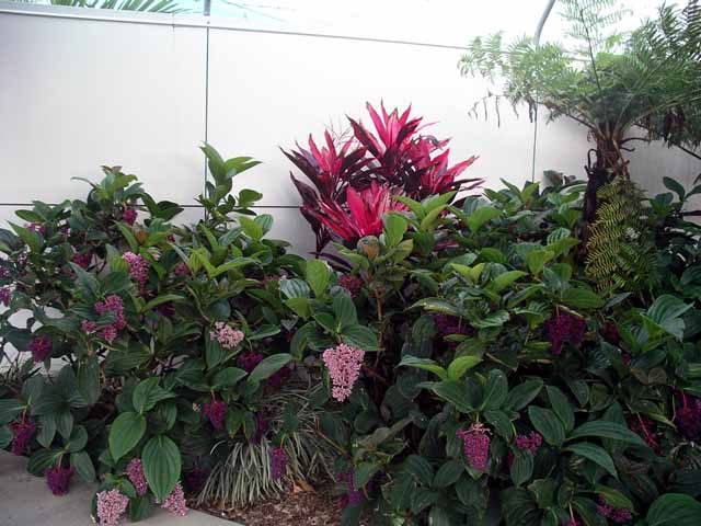 This picture is for quick loading of picture.