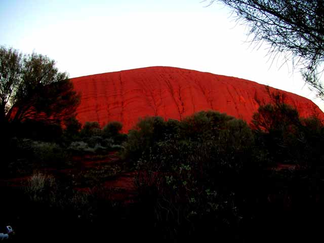 This picture is for quick loading of picture.