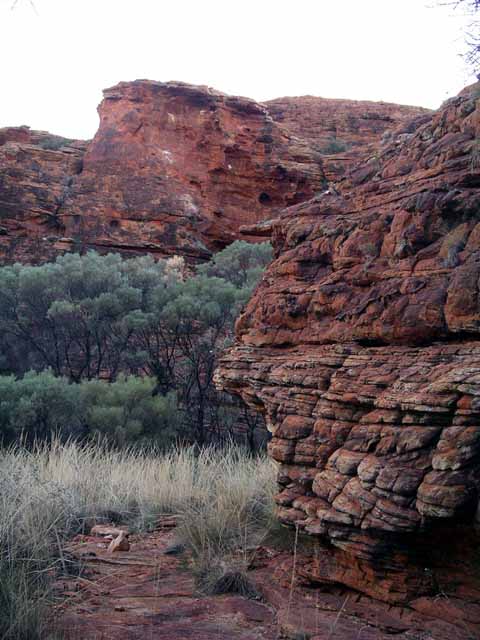 This picture is for quick loading of picture.