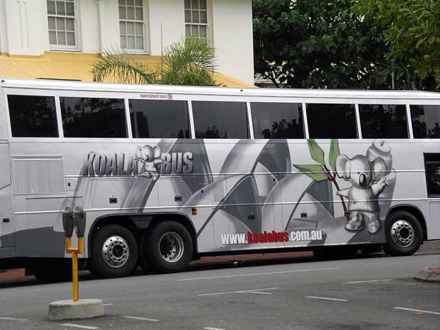 This picture is for quick loading of picture.