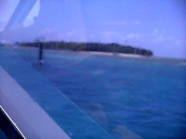 This picture is for quick loading of picture.