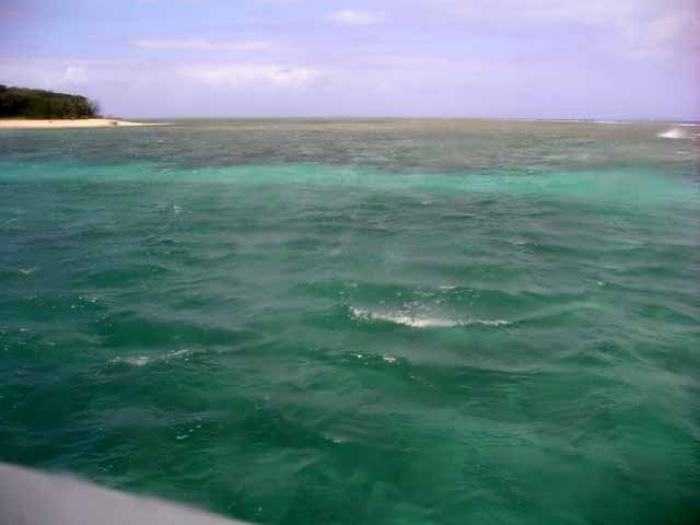 This picture is for quick loading of picture.