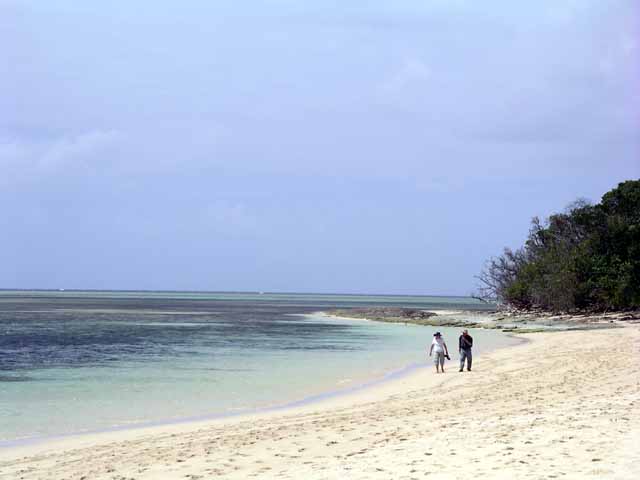 This picture is for quick loading of picture.