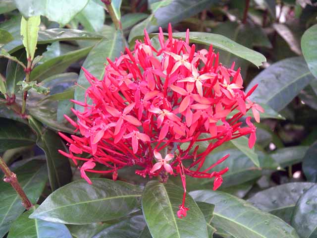 This picture is for quick loading of picture.