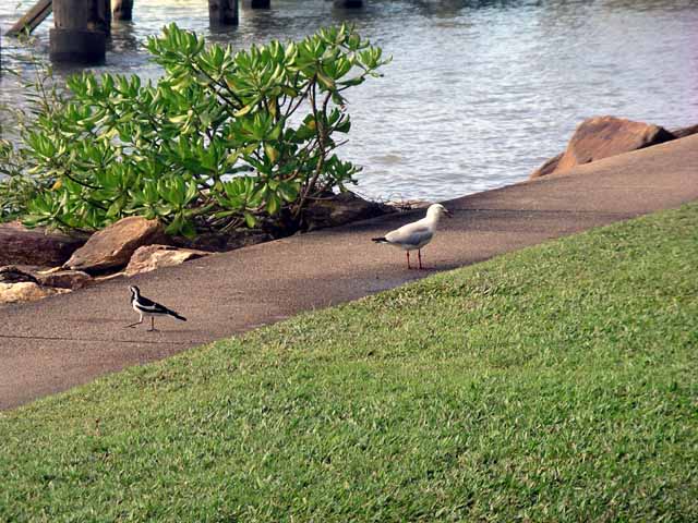 This picture is for quick loading of picture.