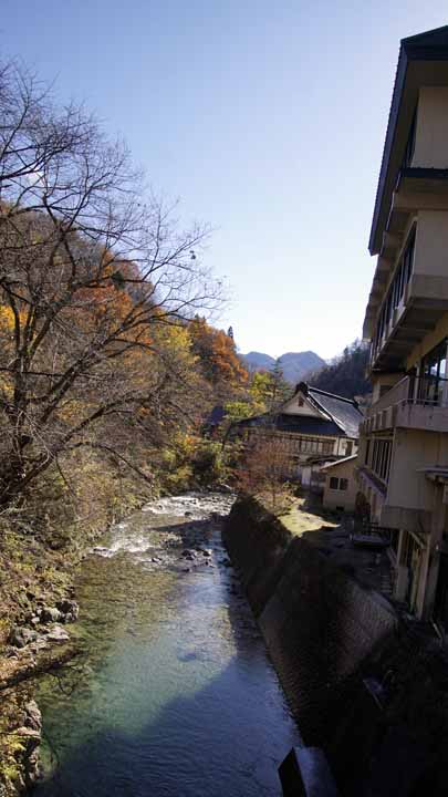 This picture is for quick loading of picture.