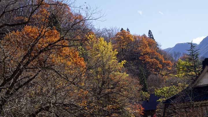 This picture is for quick loading of picture.