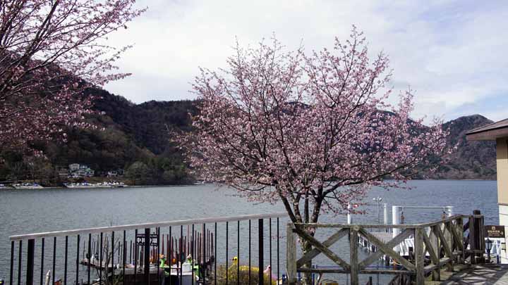 This picture is for quick loading of picture.