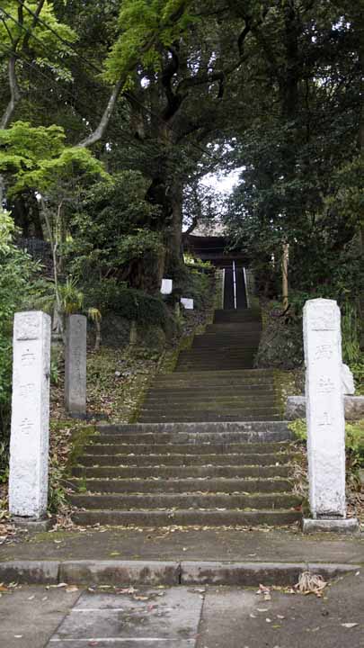 This picture is for quick loading of picture.