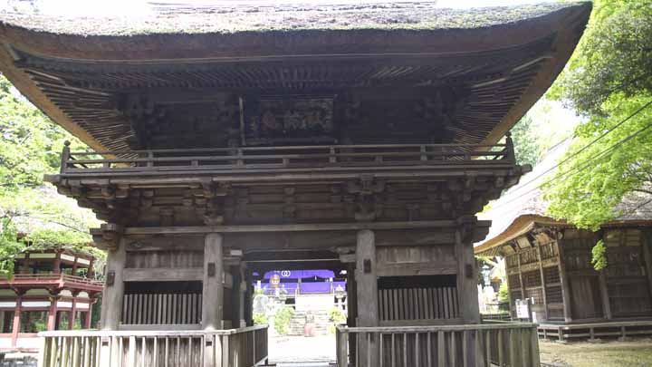 This picture is for quick loading of picture.