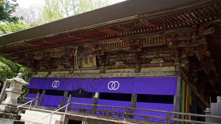 This picture is for quick loading of picture.