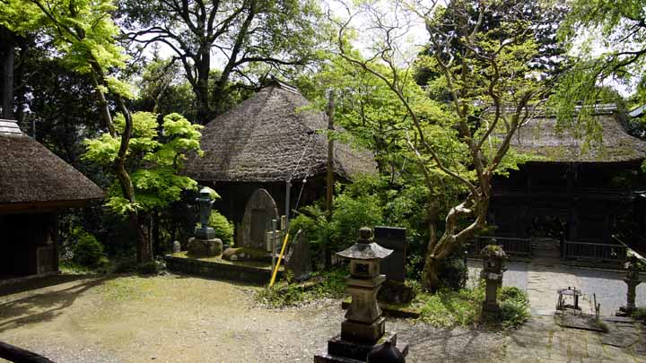 This picture is for quick loading of picture.