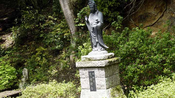 This picture is for quick loading of picture.