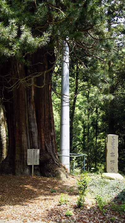 This picture is for quick loading of picture.