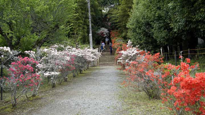 This picture is for quick loading of picture.