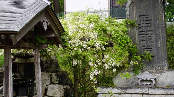 This picture is for quick loading of picture.