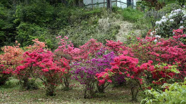 This picture is for quick loading of picture.