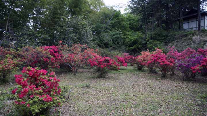 This picture is for quick loading of picture.