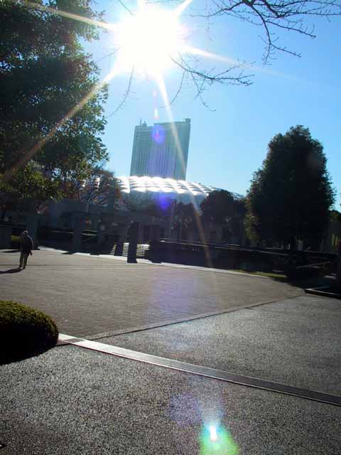 This picture is for quick loading of picture.