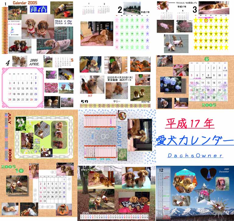 calen05.jpg
 ORG[768 x 724] NOW[ 552 x 521]
(�␳�O�{��74���{���␳������71���ŕ\����)