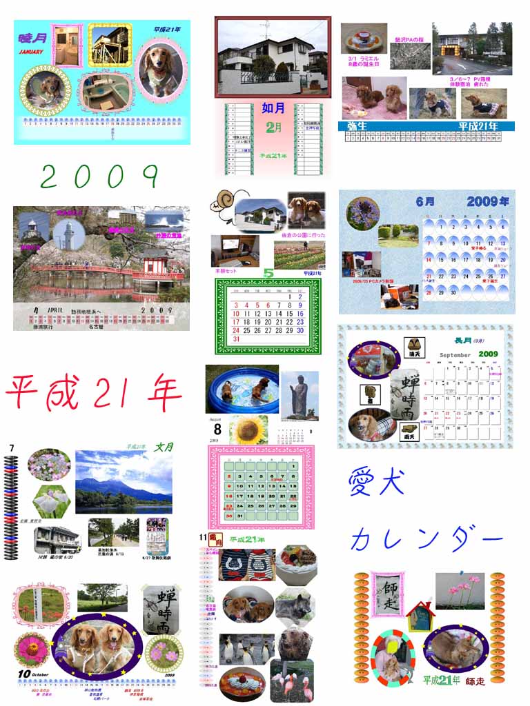 calen09.jpg
 ORG[768 x 1024] NOW[ 384 x 512]
(�␳�O�{��52���{���␳������50���ŕ\����)