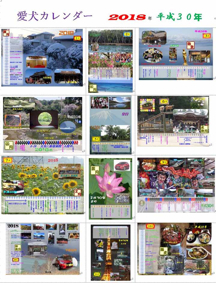 This picture is for quick loading of picture.