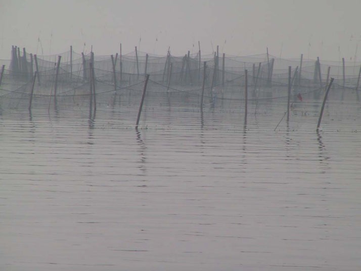 This picture is for quick loading of picture.