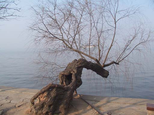 This picture is for quick loading of picture.