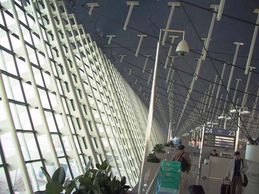 This picture is for quick loading of picture.