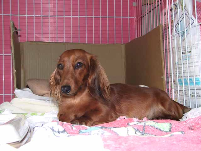 dababy001.jpg
 ORG[640 x 480] NOW[ 640 x 480]
(�␳�O�{�����{���␳������100���ŕ\����)