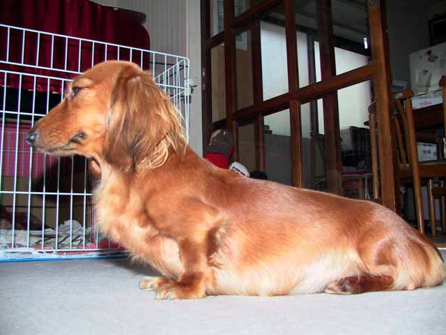 This picture is for quick loading of picture.