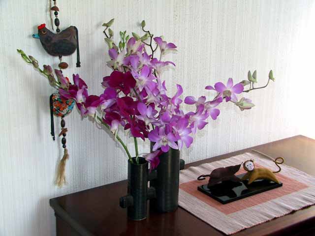 dafmly001.jpg
 ORG[640 x 480] NOW[ 640 x 480]
(�␳�O�{�����{���␳������100���ŕ\����)