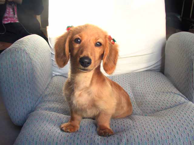 This picture is for quick loading of picture.