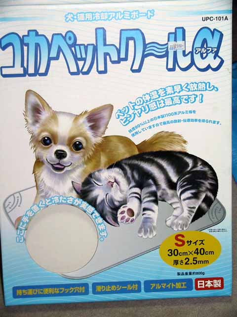 This picture is for quick loading of picture.